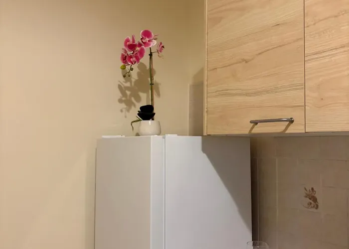 Apartament Sale E Ascinne